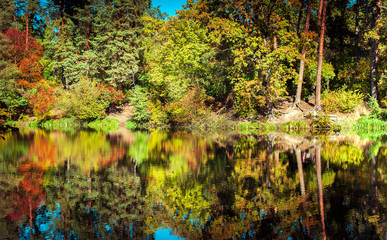  Sunny day in outdoor park with lake and colorful autumn trees reflection under blue sky. Amazing bright colors of autumn nature landscape