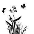 © cat_arch_angel - vector silhouettes of flower and grass with butterflies