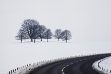 A road curving by a snow covered field and trees in chatsworth park;Derbyshire, england