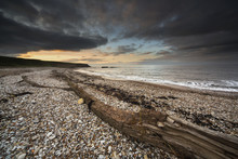 Driftwood Laying On The Gravel Beach;Sunderland Tyne And Wear England