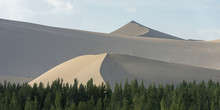 Landscape Of Sand Slopes And Ridges With Trees In The Foreground