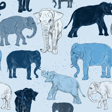 Seamless Pattern With Elephant