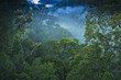 © Designpics - Treetops of jungle at Ulu Temburong National Park, Brunei
