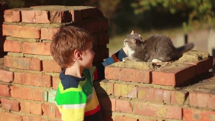 Sticker - Boy playing with cat