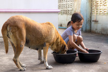 Cute Child Feeding To Dog At Home.