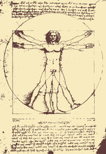 Vitruvian Man Illustration / Leonardo Da Vinci [vector]