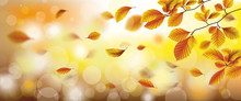 Herbst Header - Buchenblätter In Herbstfarben Fallend Im Wind Am Sonnigen Tag