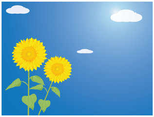 sunflower with sky background vector design