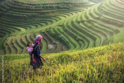 Fotografie, Obraz Mother and child Hmong, working at rice terraces, Mu cang chai,Vietnam