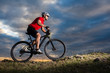 © Aleksey - Mountain Bike cyclist riding single track