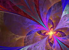 Beautiful Multicolored  Butterfly Fractal Background