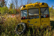 Old School Bus In Scrap Yard