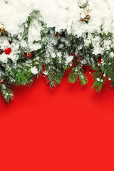 Wall Mural - christmas branches covered in snow