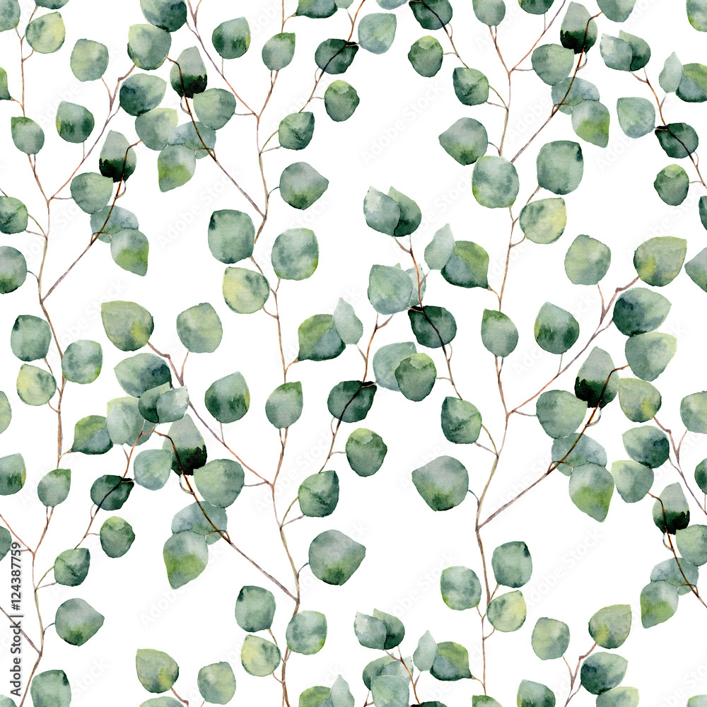 Foto-Plissee zum Schrauben - Watercolor green floral seamless pattern with eucalyptus round leaves. Hand painted pattern with branches and leaves of silver dollar eucalyptus isolated on white background. For design or background