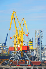 Port cargo crane