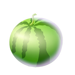 Sticker - Watermelon