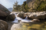 Fototapeta Na drzwi - Waterfalls in the mountains of Restonica valley in Corsica