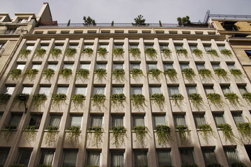 Canvas Print - Façade d'immeuble végétalisée à Paris