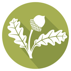 Wall Mural - acorn flat icon