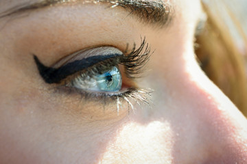 Wall Mural - Close-up of young woman's blue eyes with long eyelashes