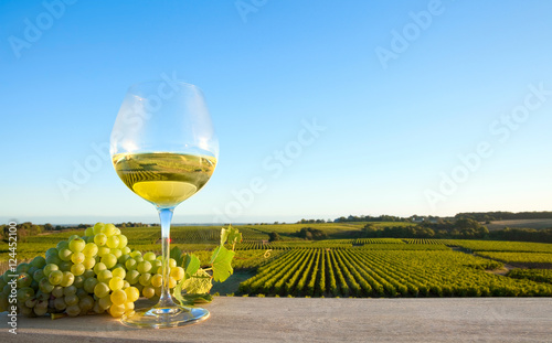 zielone-winogrona-i-biale-wino-w-piekny-dzien