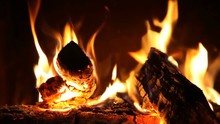 Logs Burning On Fire