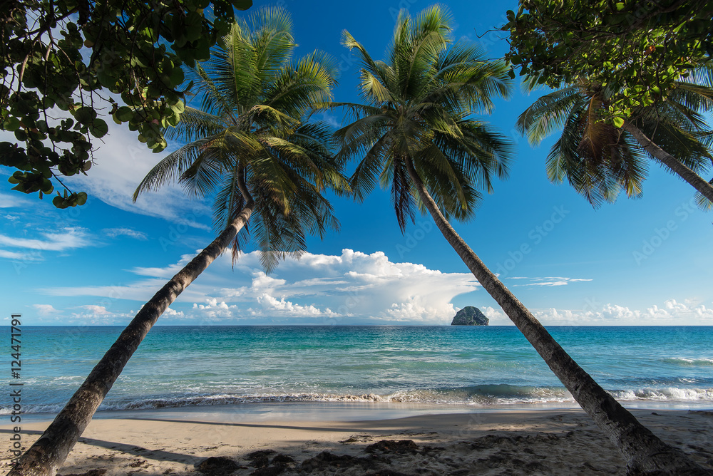Photo Art Print Martinique La Plage Du Diamant Europosters