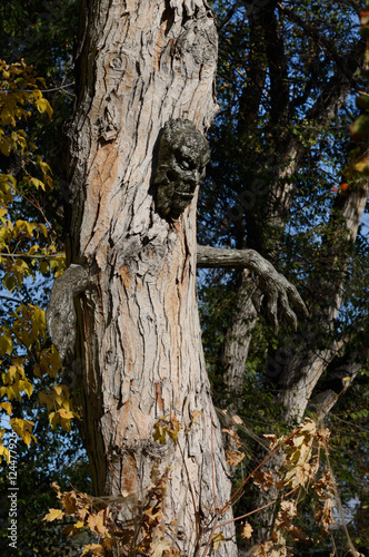 Homemade Halloween Decoration Of Ghoulish Tree With Face And Hands