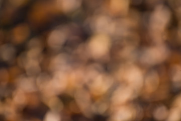 Wall Mural - autumn background, bokeh effect