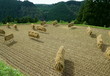 刈り取った日本米が、昔ながらの天日で乾かされている棚田の風景　熊本県菊池市山中で撮影
