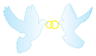 Wall Mural - vector doves with wedding rings