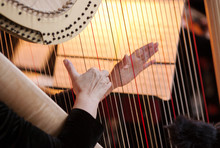 Hands Of The Woman Playing A Harp. Symphonic Orchestra. Harpist 