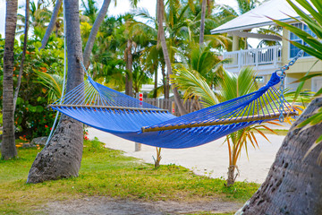 Wall Mural - Tropical resort with chaise longs and hammocks 