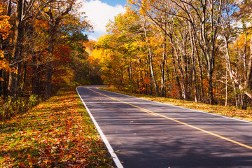 Wall Mural - Fall Colors on a scenic road