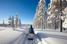 Sunny Winter Landscape With A Man Traveling Finnish Lapland With Snowmobile