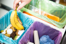 Woman Putting Banana Peel In Recycling Bio Bin In The Kitchen. Person In The House Kitchen Separating Waste. Different Trash Can With Colorful Garbage Bags.