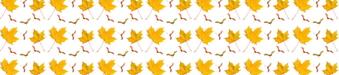 Wall Mural -  panorama  pattern maple leaf yellow  autumn