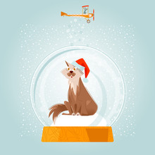 Christmas Snow Globe And Cat Wearing The Santa Hat. Christmas Greeting Card. 
