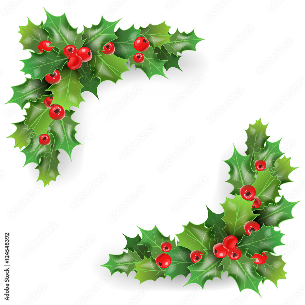 stock-vektorgrafik „merry christmas holly berries with leaves
