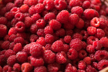 Organic Ripe Raspberries