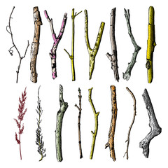 Hand painted wood twig set, ink rustic design elements collection. Dry wood tree branch and wooden twig bundle. Detailed and precise watercolor imitation driftwood twigs set. 