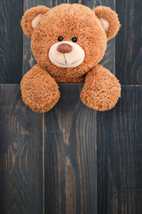 Wall Mural - Cute teddy bear