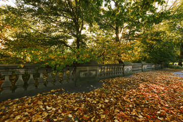 Wall Mural - Central Park in the Fall.