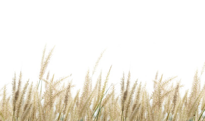 Naklejka na meble grass