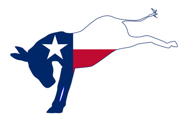 Canvas Print - Texas Democrat Donkey Flag