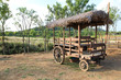 old passion carriage standing in the field / A view of the old fashion carriage standing in the field, korea 