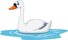Cartoon Beauty Swan Floats On Water