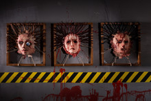 Skins From Human Heads Stuck In Frames