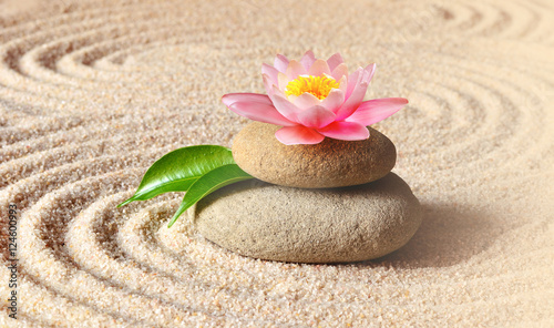 Naklejka - mata magnetyczna na lodówkę Spa stones with flower lily on sand.