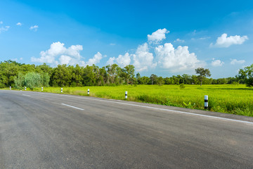 Wall Mural - asphalt road and green rice field